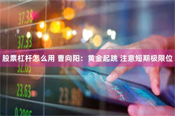 股票杠杆怎么用 曹向阳：黄金起跳 注意短期极限位