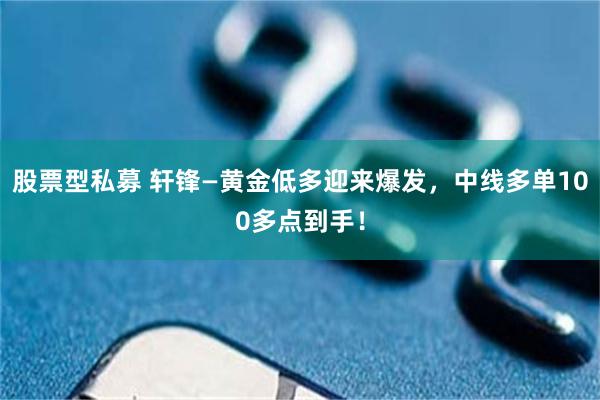 股票型私募 轩锋—黄金低多迎来爆发，中线多单100多点到手！