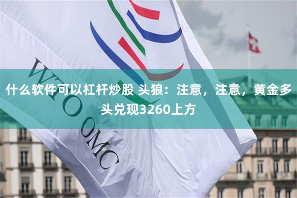 什么软件可以杠杆炒股 头狼：注意，注意，黄金多头兑现3260上方