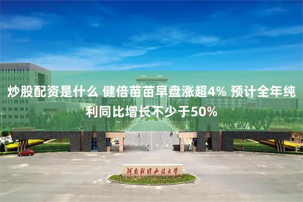 炒股配资是什么 健倍苗苗早盘涨超4% 预计全年纯利同比增长不少于50%