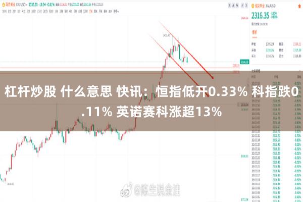 杠杆炒股 什么意思 快讯:恒指低开0.33% 科指跌0.11% 英诺赛科涨超13%