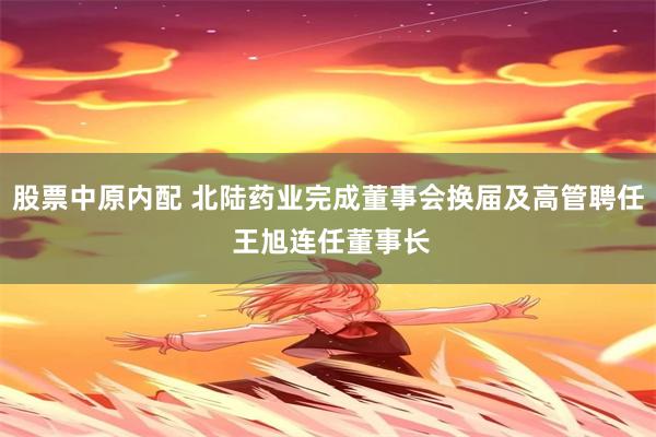 股票中原内配 北陆药业完成董事会换届及高管聘任 王旭连任董事长