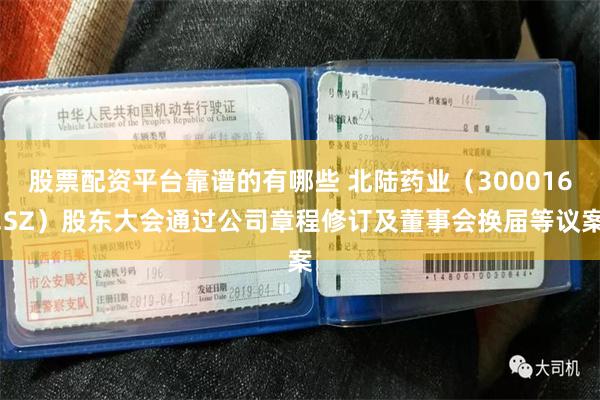 股票配资平台靠谱的有哪些 北陆药业（300016.SZ）股东大会通过公司章程修订及董事会换届等议案