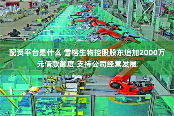 配资平台是什么 雪榕生物控股股东追加2000万元借款额度 支持公司经营发展