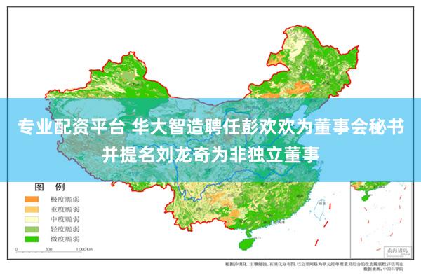专业配资平台 华大智造聘任彭欢欢为董事会秘书并提名刘龙奇为非独立董事