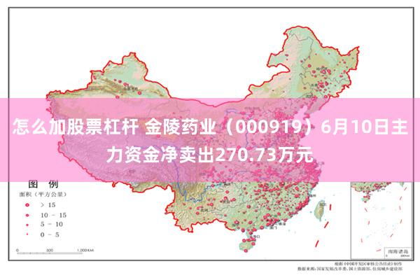 怎么加股票杠杆 金陵药业（000919）6月10日主力资金净卖出270.73万元