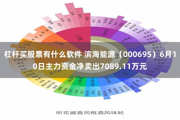 杠杆买股票有什么软件 滨海能源（000695）6月10日主力资金净卖出7089.11万元
