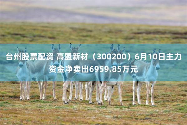 台州股票配资 高盟新材（300200）6月10日主力资金净卖出6959.85万元