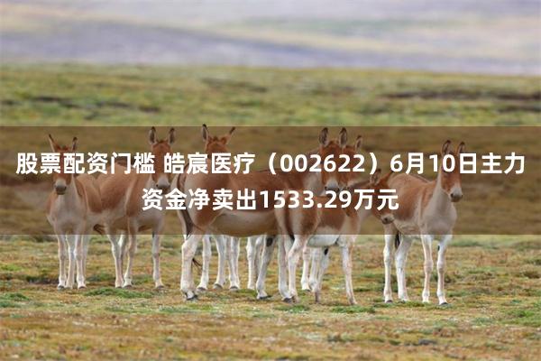 股票配资门槛 皓宸医疗（002622）6月10日主力资金净卖出1533.29万元