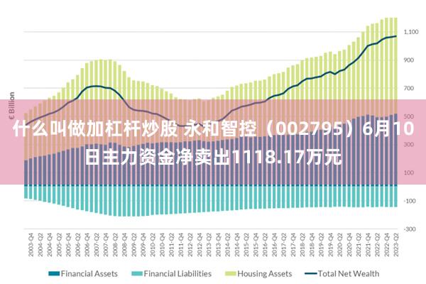 什么叫做加杠杆炒股 永和智控（002795）6月10日主力资金净卖出1118.17万元