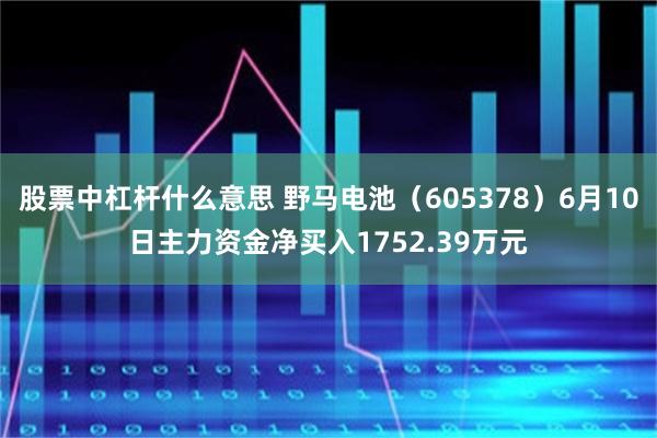 股票中杠杆什么意思 野马电池（605378）6月10日主力资金净买入1752.39万元