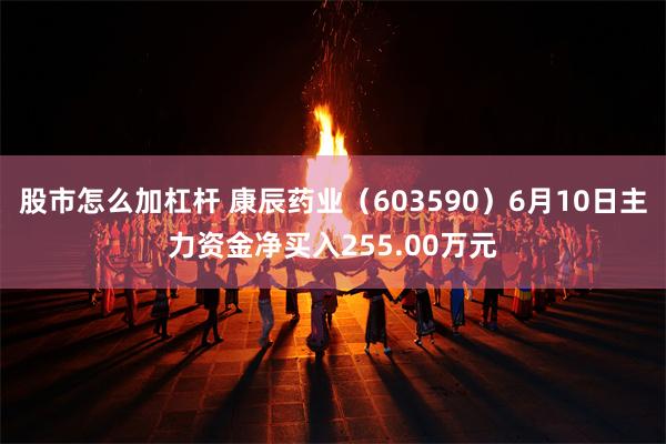 股市怎么加杠杆 康辰药业（603590）6月10日主力资金净买入255.00万元