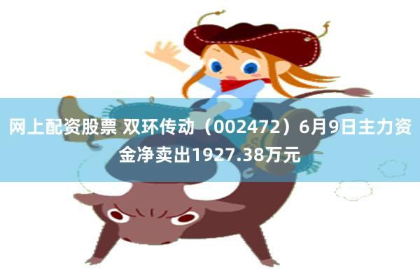 网上配资股票 双环传动（002472）6月9日主力资金净卖出1927.38万元