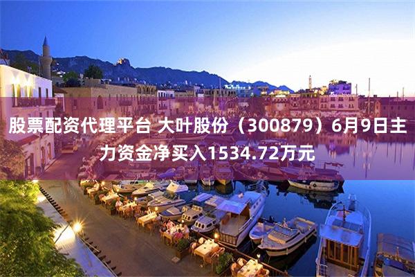 股票配资代理平台 大叶股份（300879）6月9日主力资金净买入1534.72万元