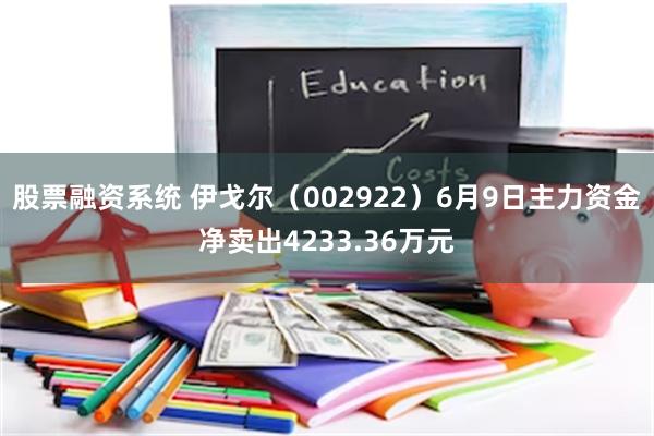 股票融资系统 伊戈尔（002922）6月9日主力资金净卖出4233.36万元