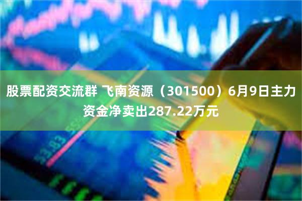 股票配资交流群 飞南资源（301500）6月9日主力资金净卖出287.22万元