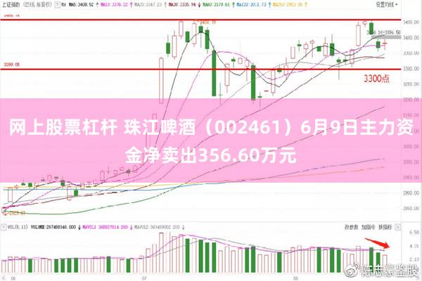网上股票杠杆 珠江啤酒（002461）6月9日主力资金净卖出356.60万元