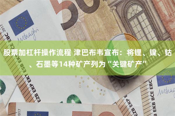 股票加杠杆操作流程 津巴布韦宣布：将锂、镍、钴、石墨等14种矿产列为“关键矿产”