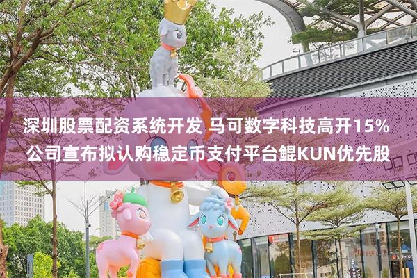 深圳股票配资系统开发 马可数字科技高开15% 公司宣布拟认购稳定币支付平台鲲KUN优先股