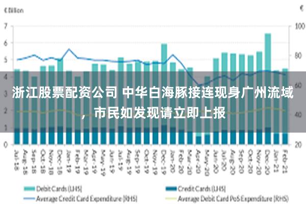浙江股票配资公司 中华白海豚接连现身广州流域，市民如发现请立即上报