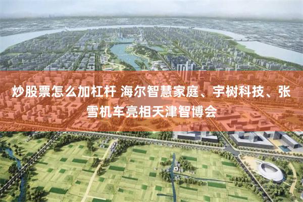 炒股票怎么加杠杆 海尔智慧家庭、宇树科技、张雪机车亮相天津智博会