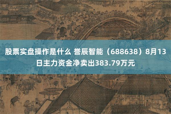股票实盘操作是什么 誉辰智能（688638）8月13日主力资金净卖出383.79万元