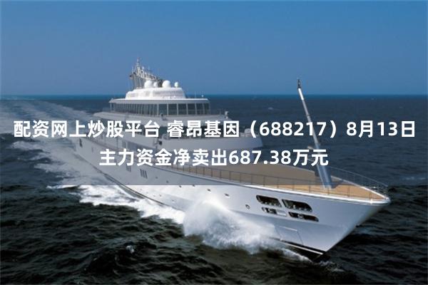 配资网上炒股平台 睿昂基因(688217)8月13日主力资金净卖出687.38万元