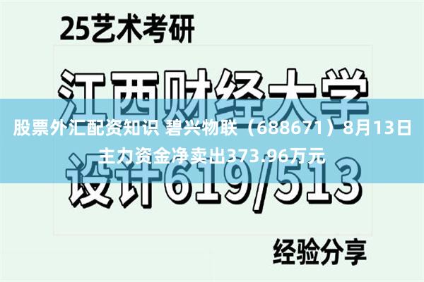 股票外汇配资知识 碧兴物联(688671)8月13日主力资金净卖出373.96万元
