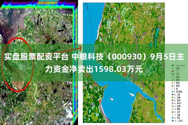 实盘股票配资平台 中粮科技(000930)9月5日主力资金净卖出1598.03万元
