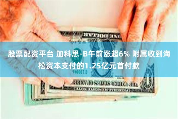 股票配资平台 加科思-B午前涨超6% 附属收到海松资本支付的1.25亿元首付款