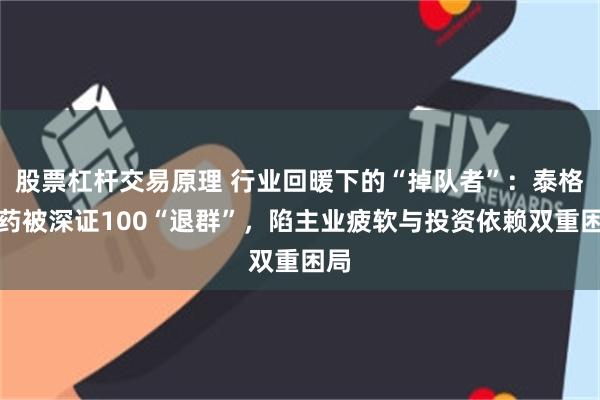 股票杠杆交易原理 行业回暖下的“掉队者”：泰格医药被深证100“退群”，陷主业疲软与投资依赖双重困局