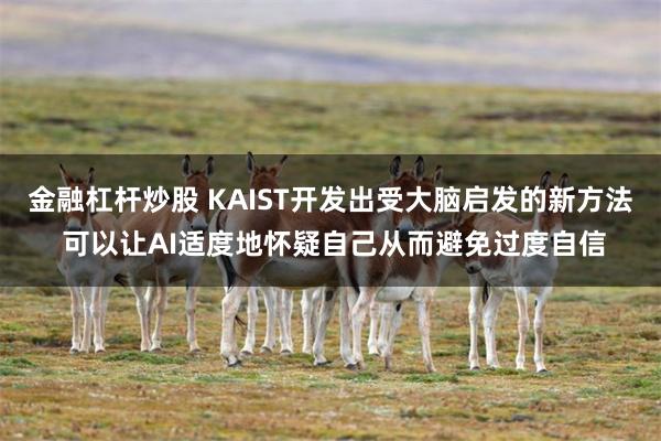 金融杠杆炒股 KAIST开发出受大脑启发的新方法 可以让AI适度地怀疑自己从而避免过度自信