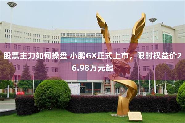股票主力如何操盘 小鹏GX正式上市，限时权益价26.98万元起