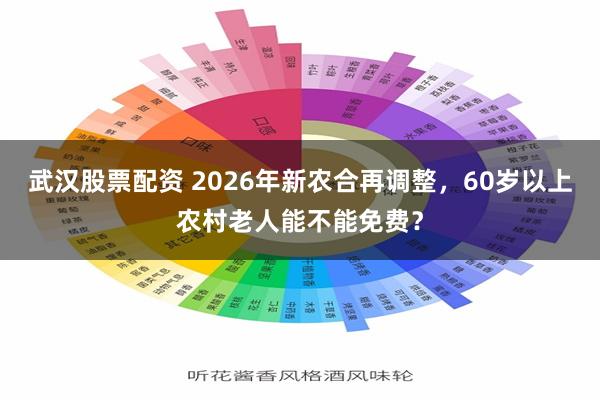 武汉股票配资 2026年新农合再调整，60岁以上农村老人能不能免费？