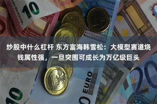 炒股中什么杠杆 东方富海韩雪松：大模型赛道烧钱属性强，一旦突围可成长为万亿级巨头