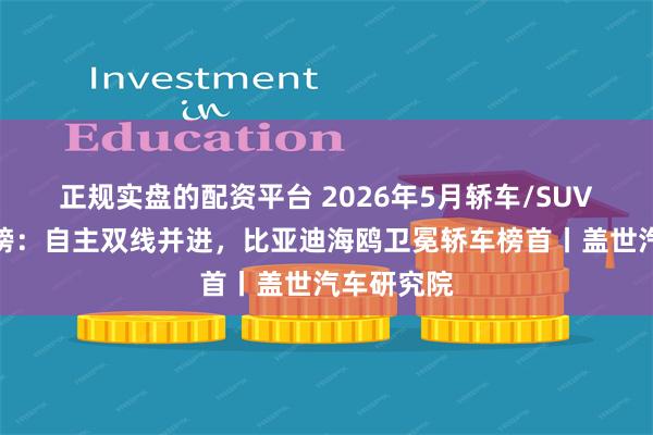 正规实盘的配资平台 2026年5月轿车/SUV车型销量榜：自主双线并进，比亚迪海鸥卫冕轿车榜首丨盖世汽车研究院