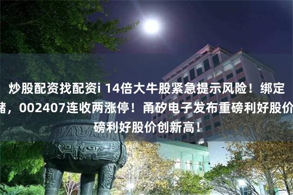 炒股配资找配资i 14倍大牛股紧急提示风险！绑定长鑫存储，002407连收两涨停！甬矽电子发布重磅利好股价创新高！