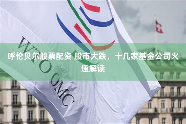 呼伦贝尔股票配资 股市大跌,十几家基金公司火速解读