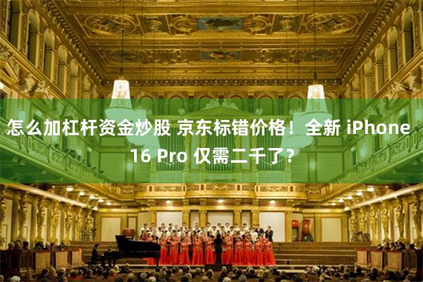 怎么加杠杆资金炒股 京东标错价格！全新 iPhone 16 Pro 仅需二千了？
