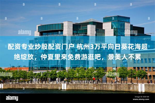 配资专业炒股配资门户 杭州3万平向日葵花海超绝绽放，仲夏里来免费游逛吧，景美人不累
