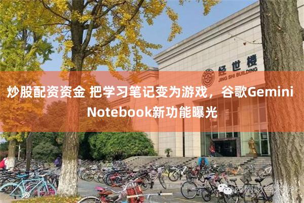 炒股配资资金 把学习笔记变为游戏，谷歌Gemini Notebook新功能曝光