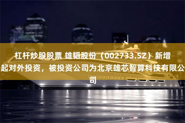 杠杆炒股股票 雄韬股份（002733.SZ）新增一起对外投资，被投资公司为北京雄芯智算科技有限公司