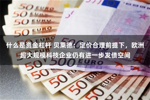 什么是资金杠杆 贝莱德：定价合理前提下，欧洲超大规模科技企业仍有进一步发债空间