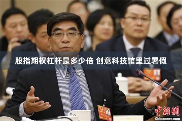 股指期权杠杆是多少倍 创意科技馆里过暑假