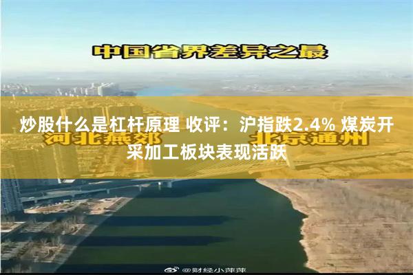 炒股什么是杠杆原理 收评:沪指跌2.4% 煤炭开采加工板块表现活跃