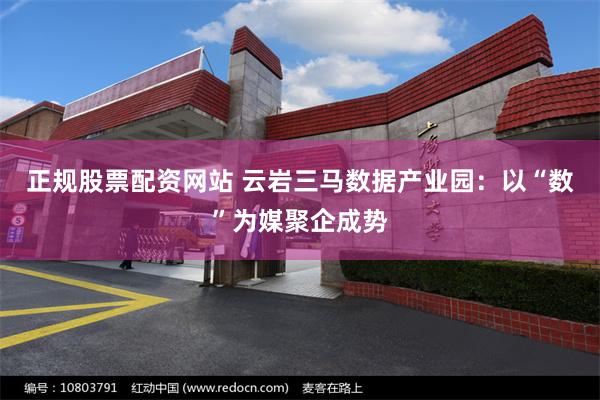 正规股票配资网站 云岩三马数据产业园：以“数”为媒聚企成势