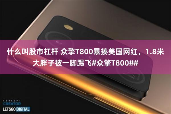什么叫股市杠杆 众擎T800暴揍美国网红，1.8米大胖子被一脚踢飞#众擎T800##