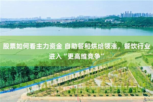 股票如何看主力资金 自助餐和烘焙领涨，餐饮行业进入“更高维竞争”
