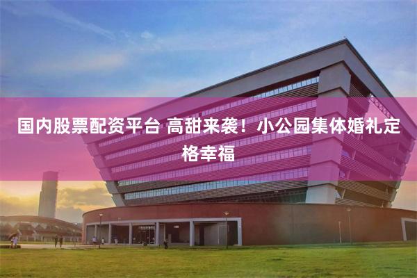 国内股票配资平台 高甜来袭！小公园集体婚礼定格幸福