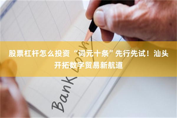 股票杠杆怎么投资 “词元十条”先行先试！汕头开拓数字贸易新航道